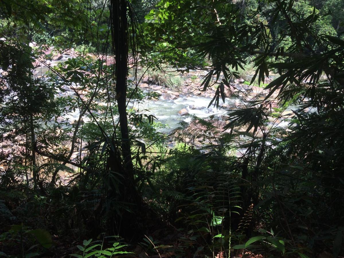Sinharaja Forest Edge Deniyaya Extérieur photo