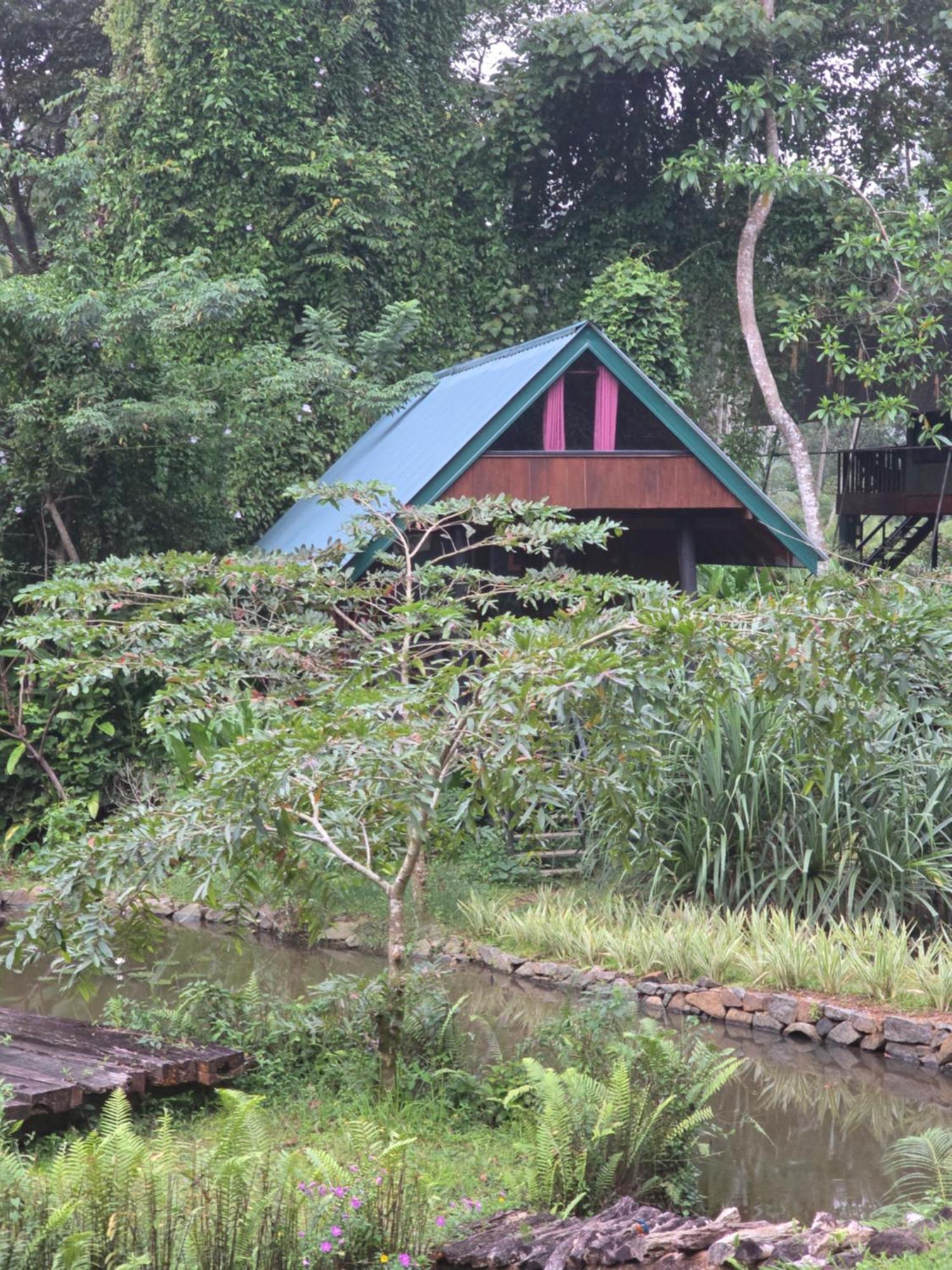 Sinharaja Forest Edge Deniyaya Extérieur photo
