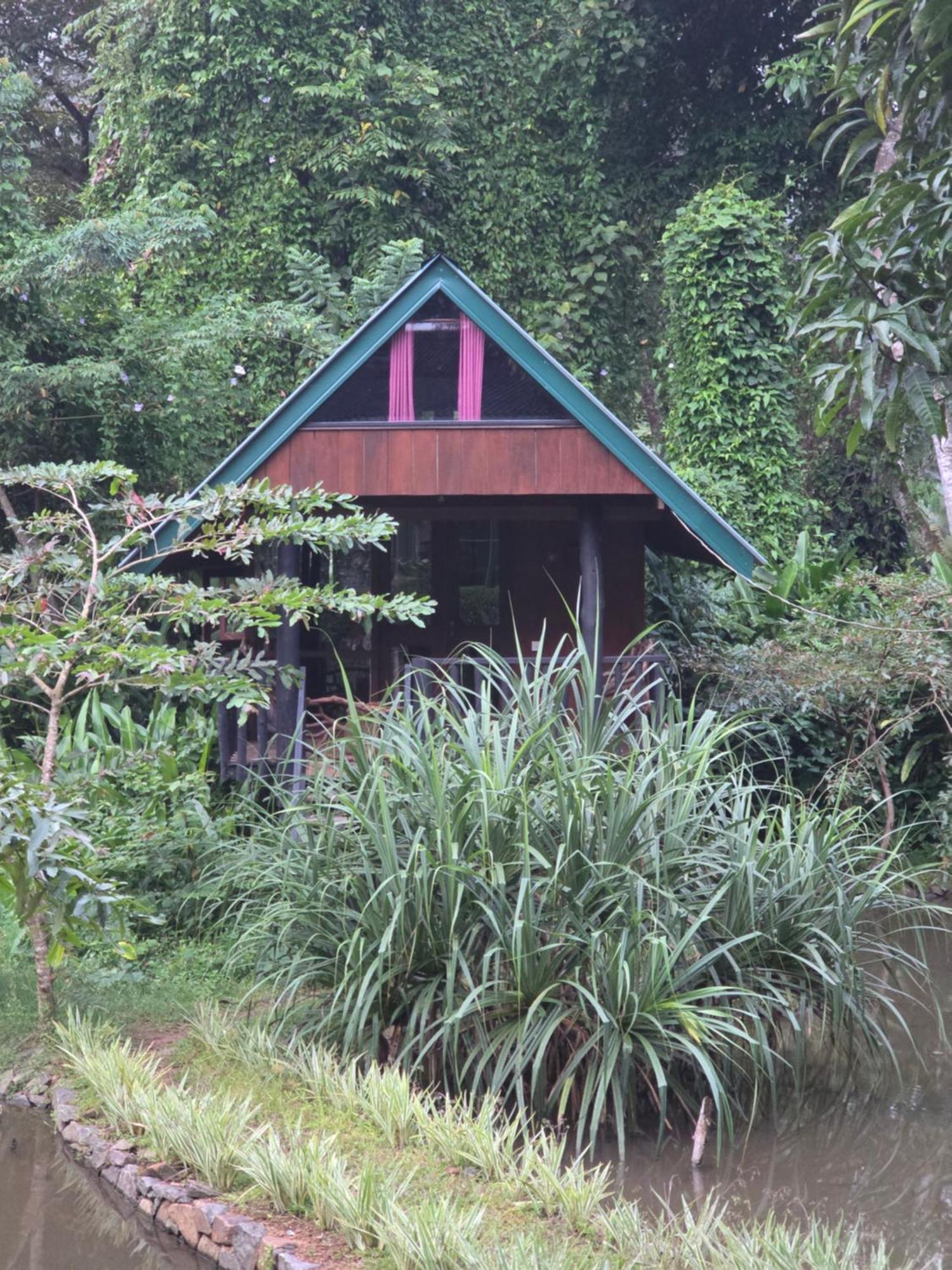 Sinharaja Forest Edge Deniyaya Extérieur photo