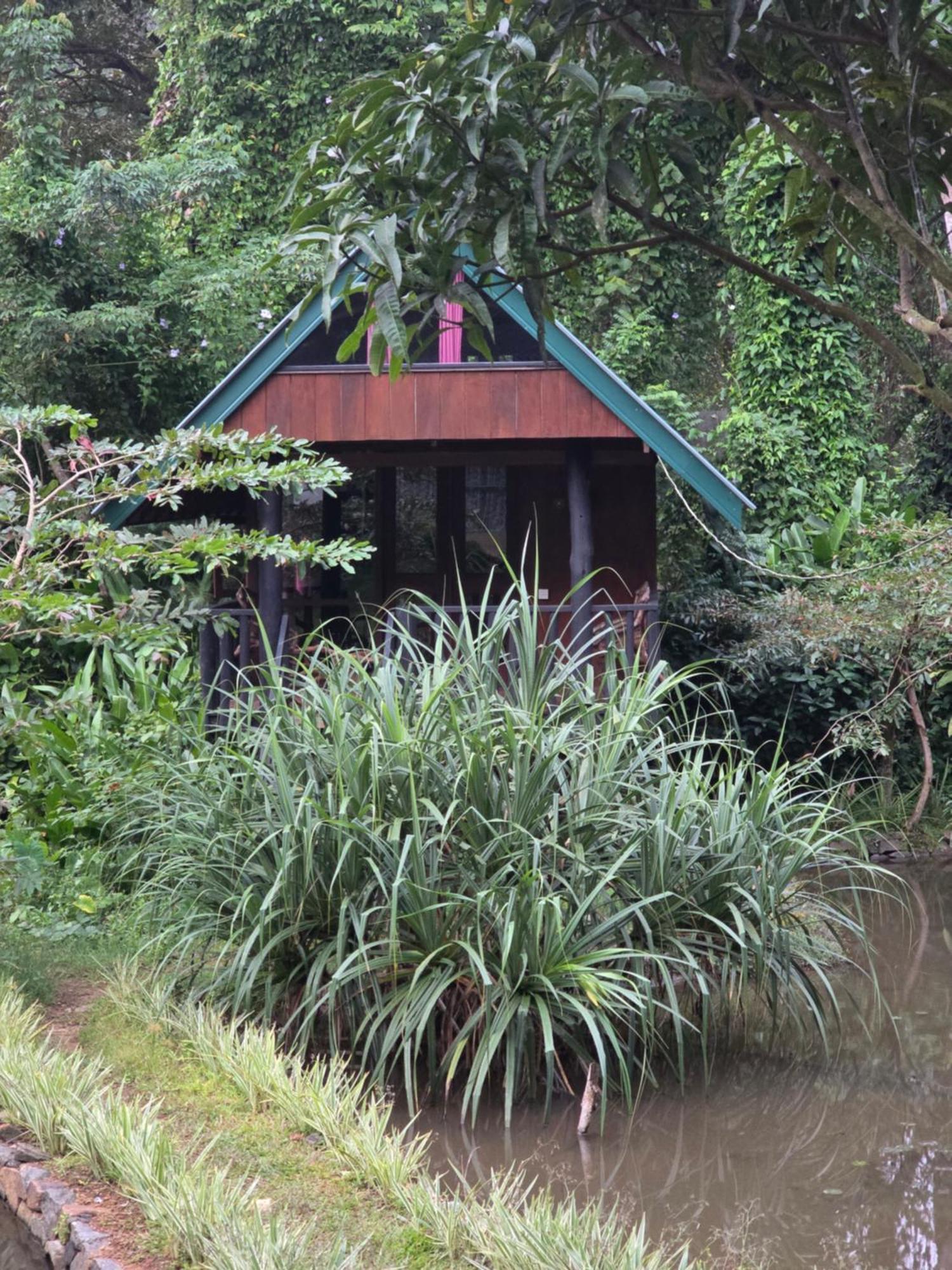 Sinharaja Forest Edge Deniyaya Extérieur photo