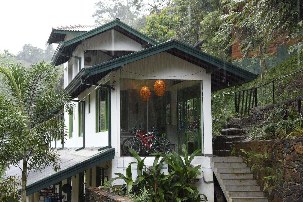 Sinharaja Forest Edge Deniyaya Extérieur photo