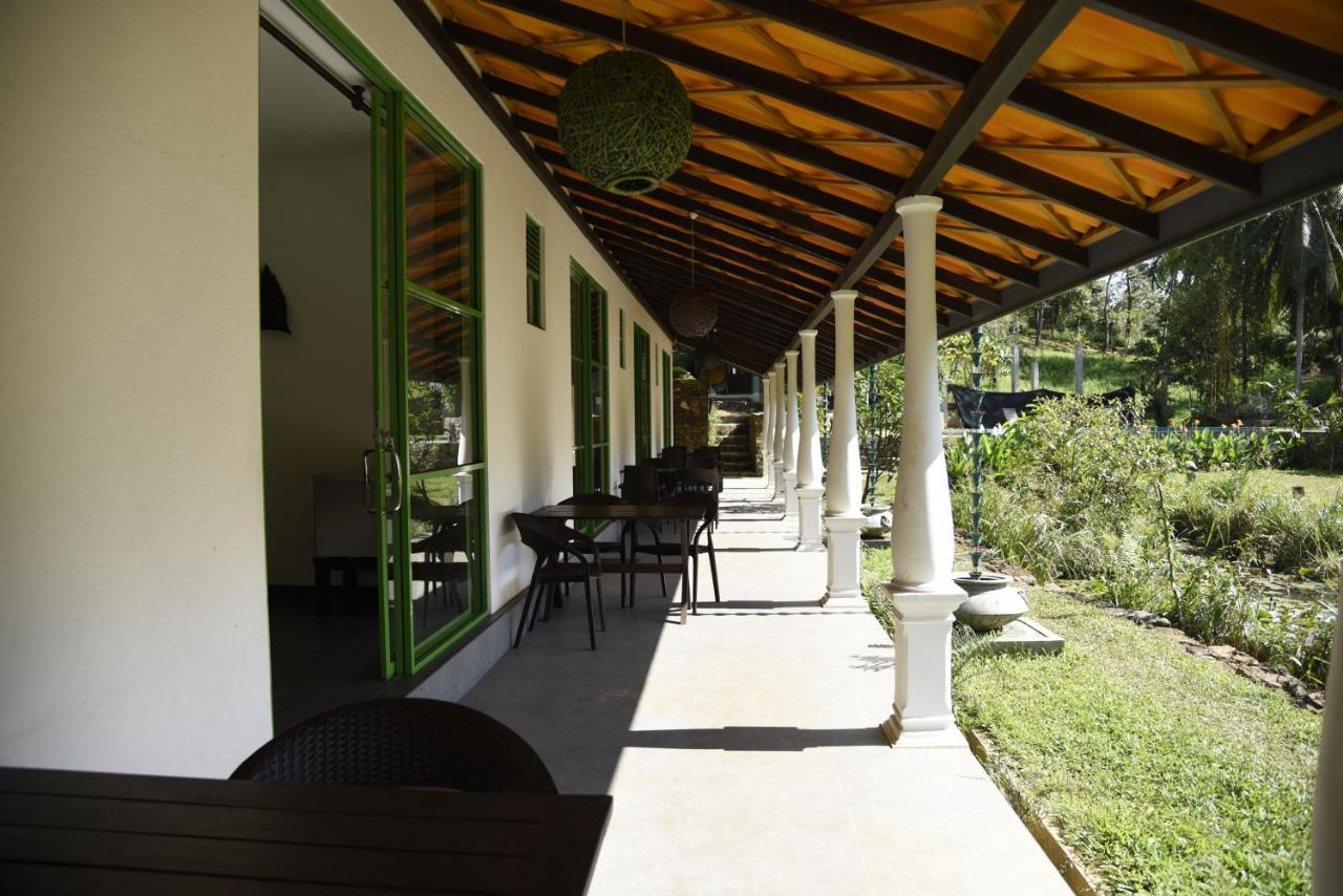 Sinharaja Forest Edge Deniyaya Extérieur photo