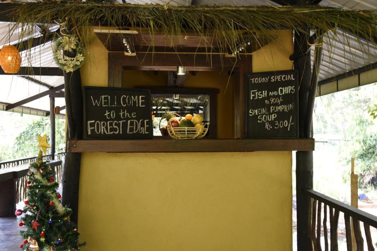 Sinharaja Forest Edge Deniyaya Extérieur photo