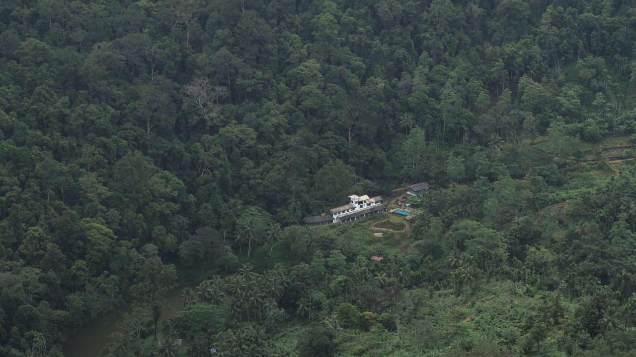 Sinharaja Forest Edge Deniyaya Extérieur photo